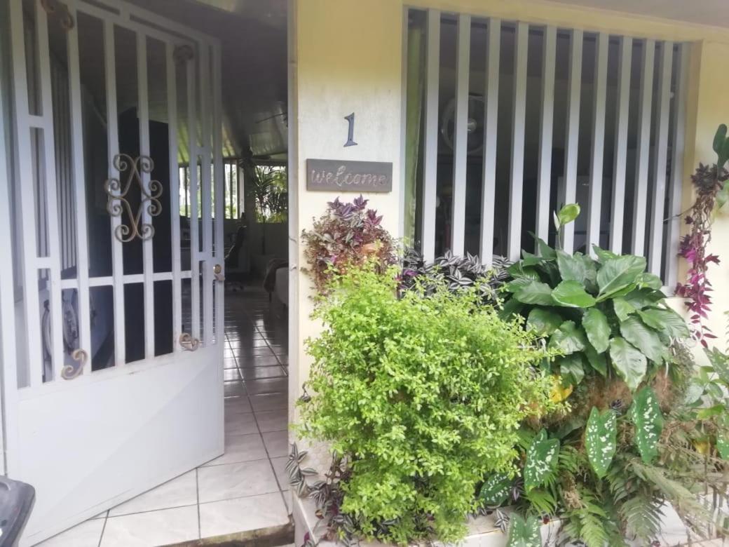 Casa Sophia 3 Listings Apartment 1 Or Apartment 2 Separately Or Apt 1 And 2 Together All With Fo Internet Guápiles Buitenkant foto