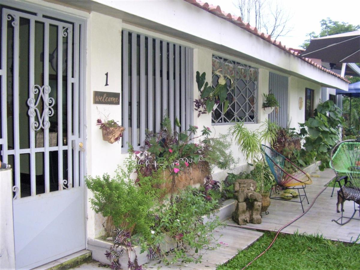Casa Sophia 3 Listings Apartment 1 Or Apartment 2 Separately Or Apt 1 And 2 Together All With Fo Internet Guápiles Buitenkant foto